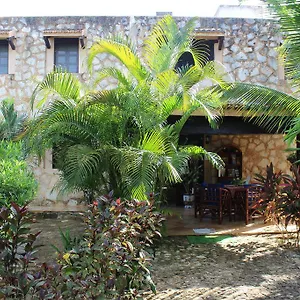 Casa De Tortugas I Tour Akumal